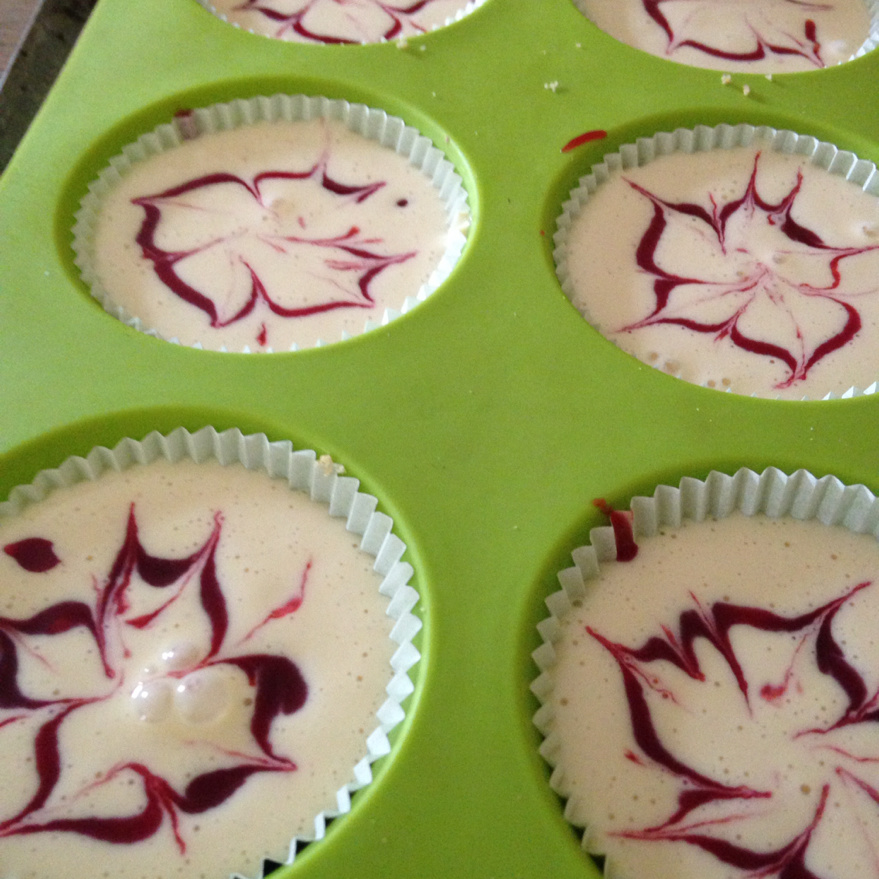 Mini Cheesecake marbled at raspberry coulis